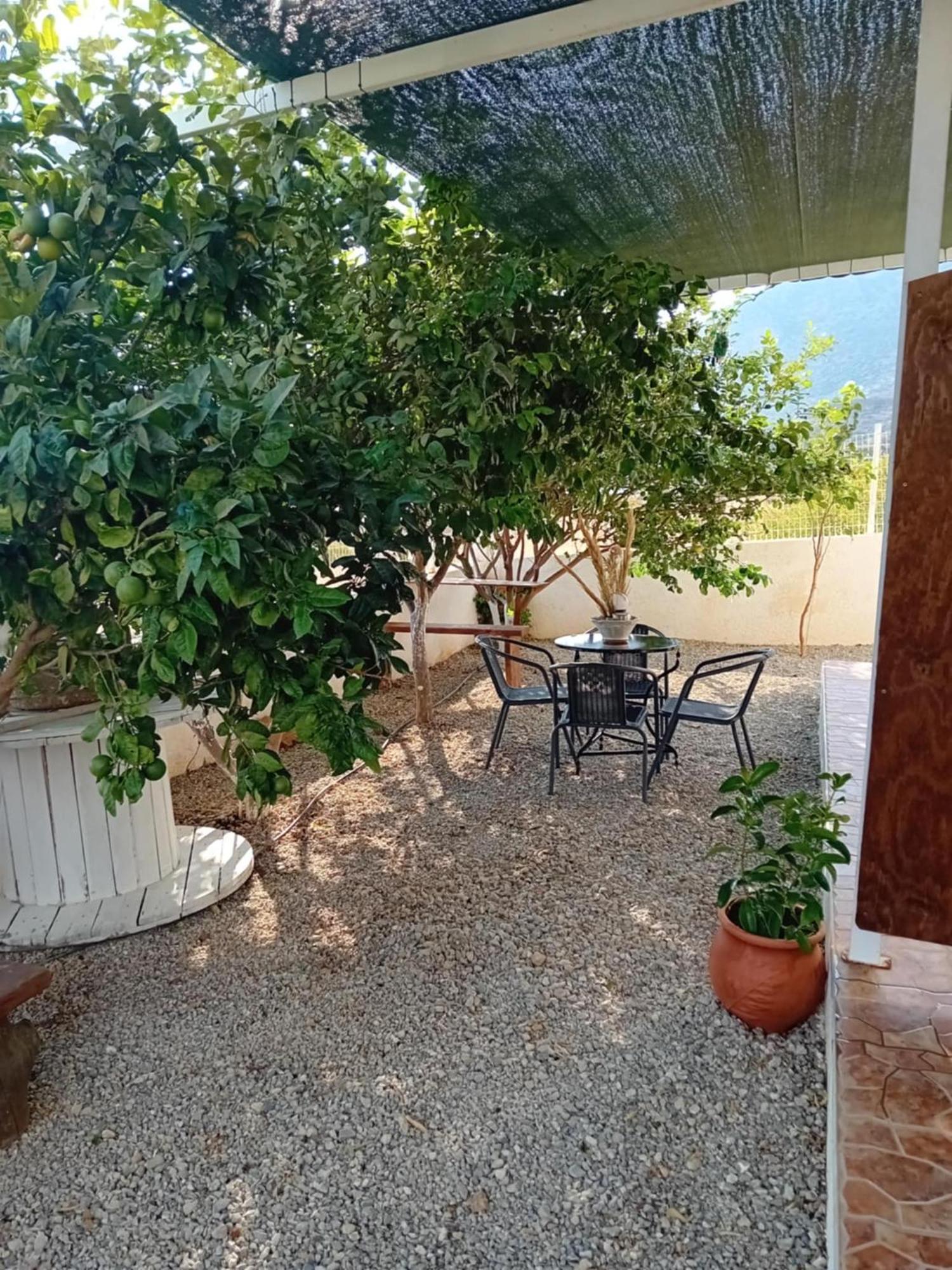 Studios Anna Maria With Sea View Kapetaniana Экстерьер фото